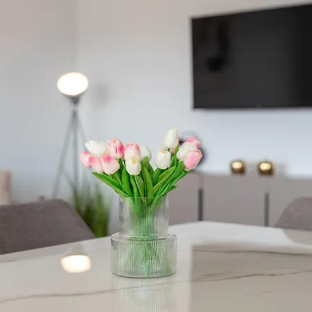 Natura Apartment-new Modern With View & Two Free Parking Spaces-10 Min Walk To Old Town 公寓